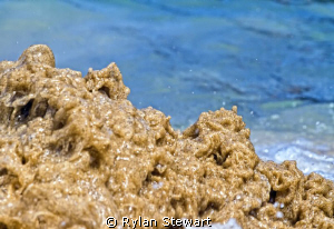 Sand Monster by Rylan Stewart 